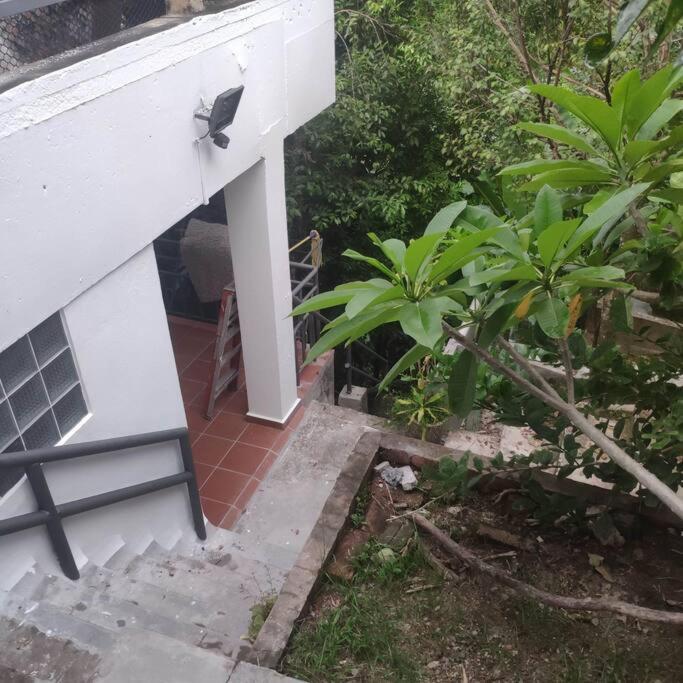 Kk Jungle Hideaway Lovely Apartment 5 Mins Walk To Town Kota Kinabalu Exteriör bild