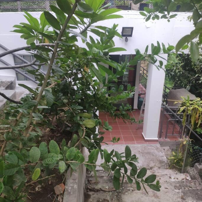 Kk Jungle Hideaway Lovely Apartment 5 Mins Walk To Town Kota Kinabalu Exteriör bild